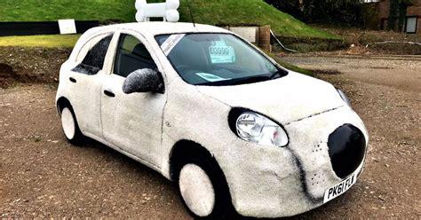 Image of Dog  Car on CSE Motors